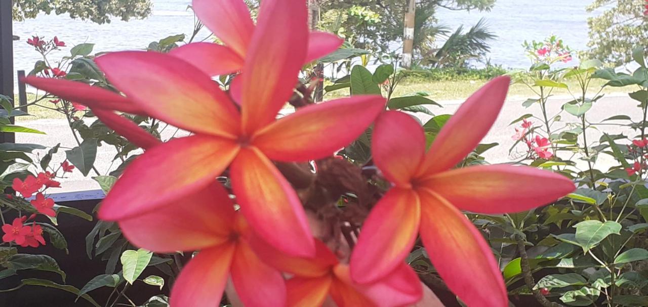 Kaila Na Ua Resort コロトゴ エクステリア 写真
