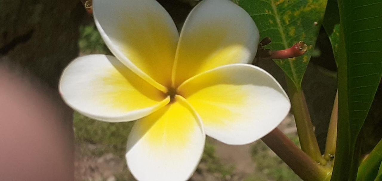 Kaila Na Ua Resort コロトゴ エクステリア 写真